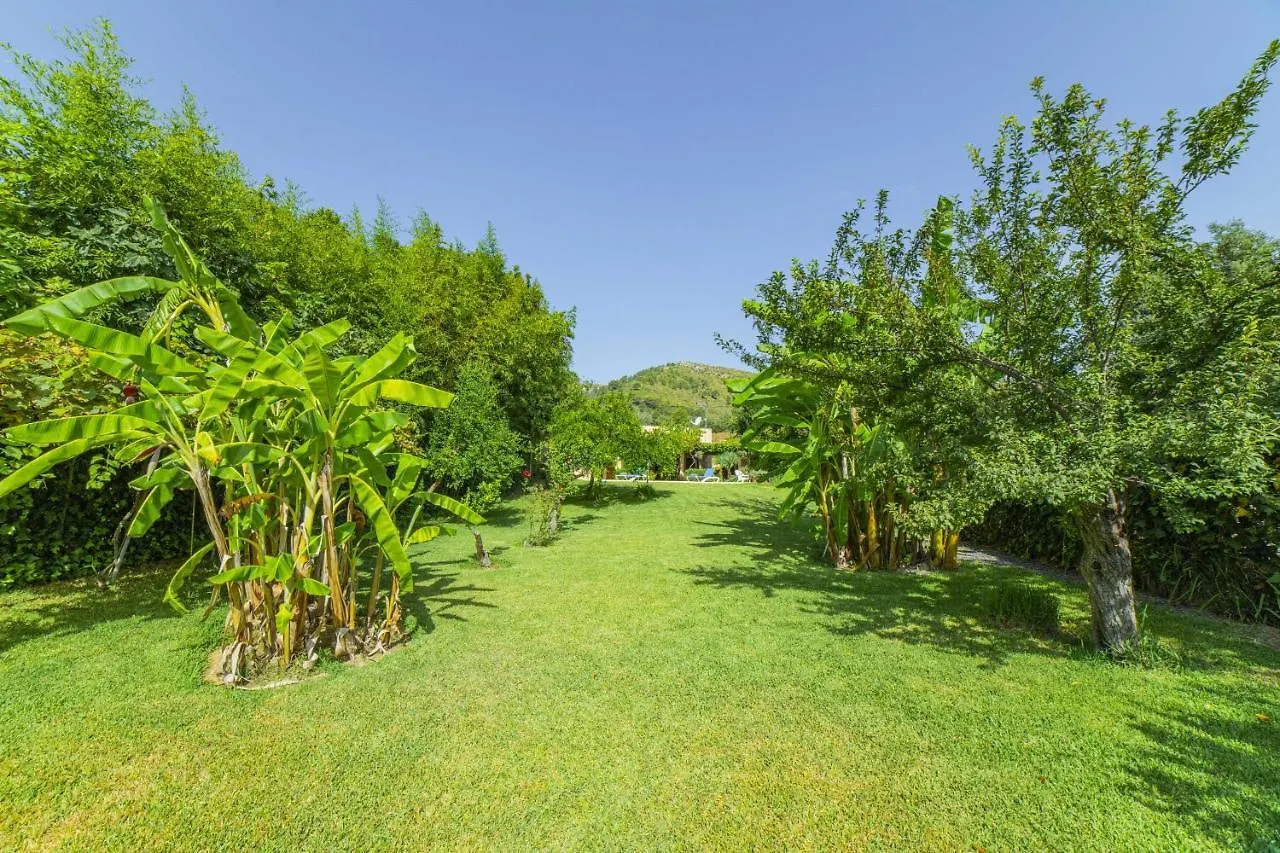 Villa Martin / Son Siurana Alcudia  Alcudia (Mallorca)